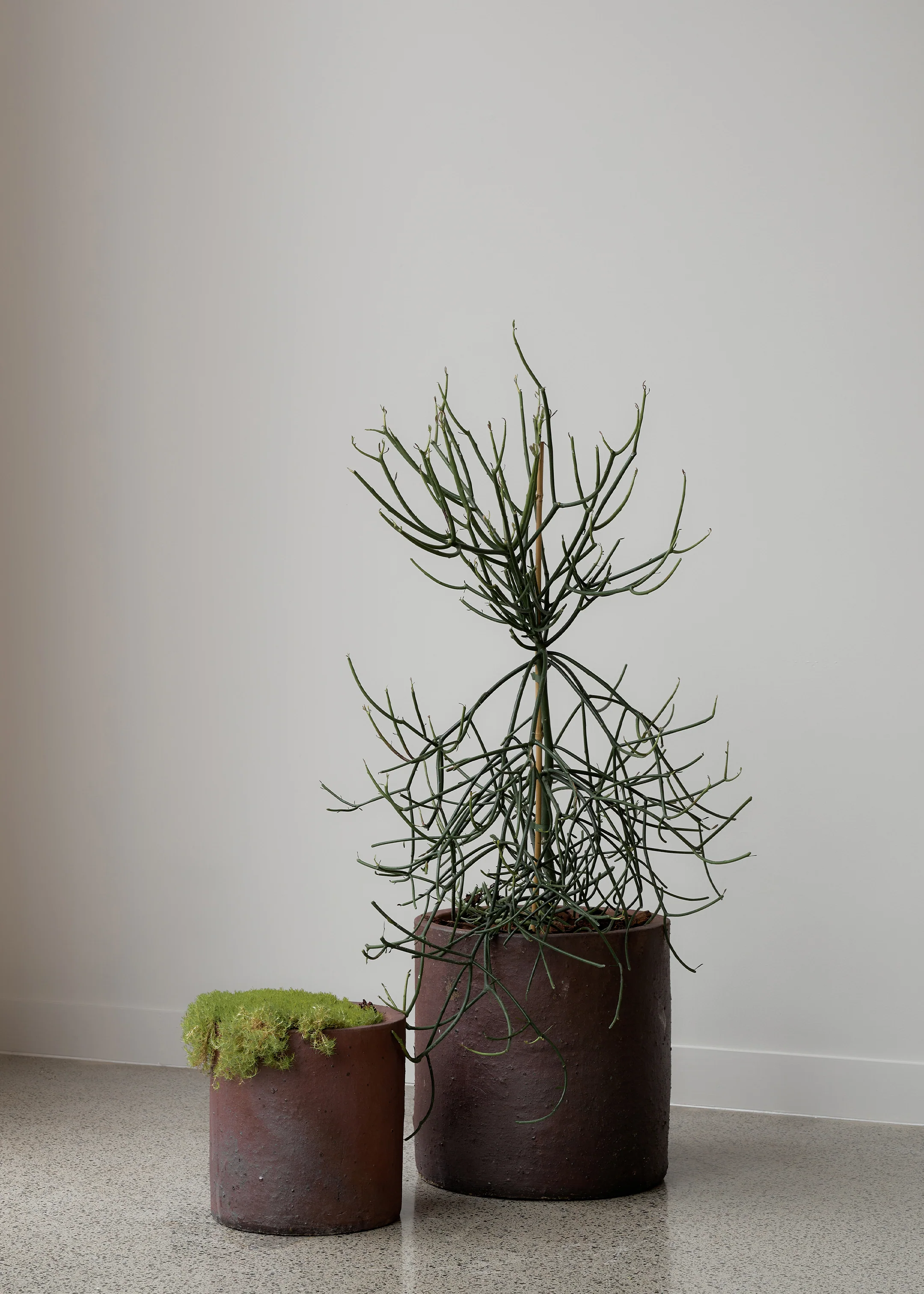 Edin Black Soil Pot