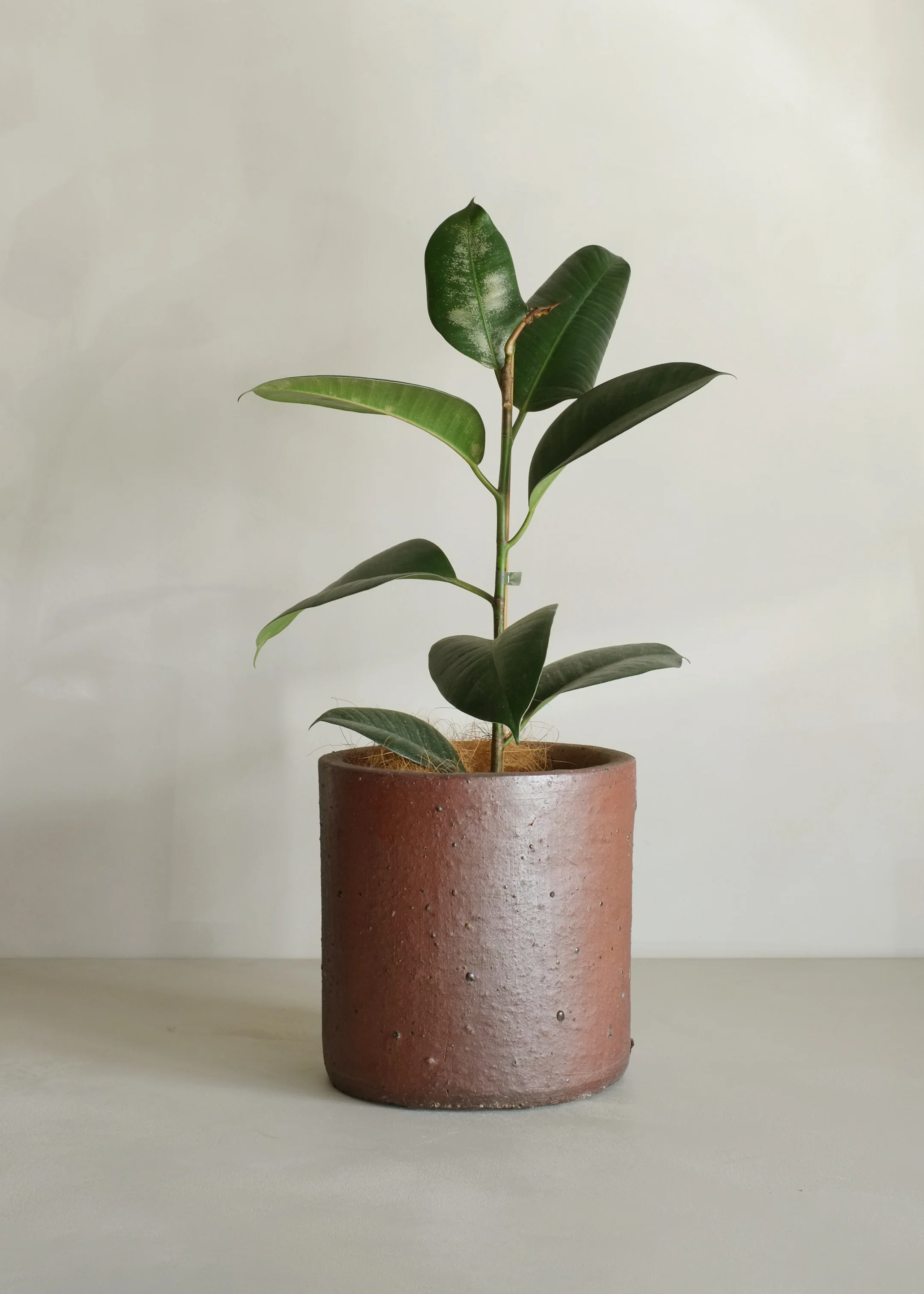 Edin Black Soil Pot - Image 2