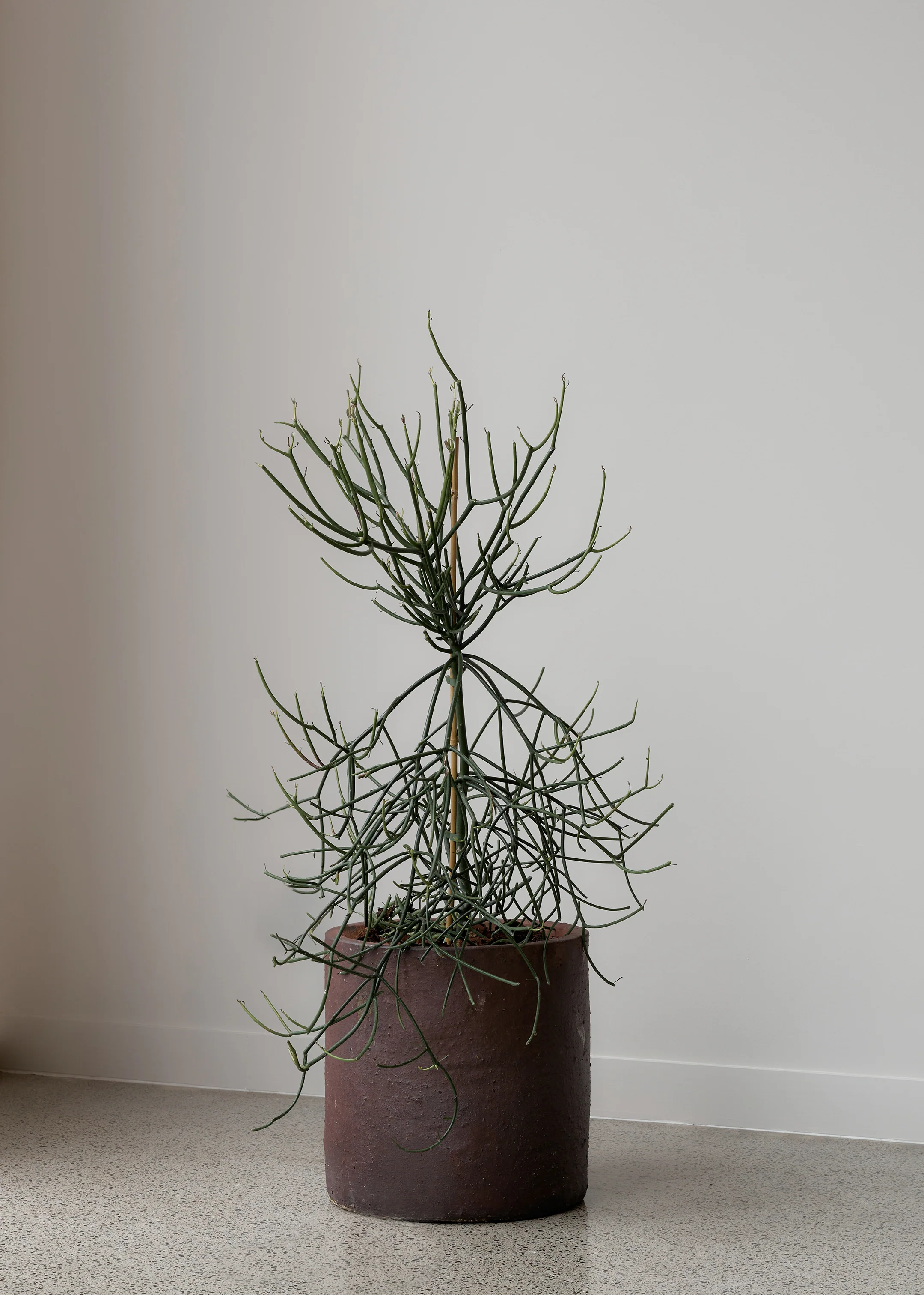 Edin Black Soil Pot - Image 7