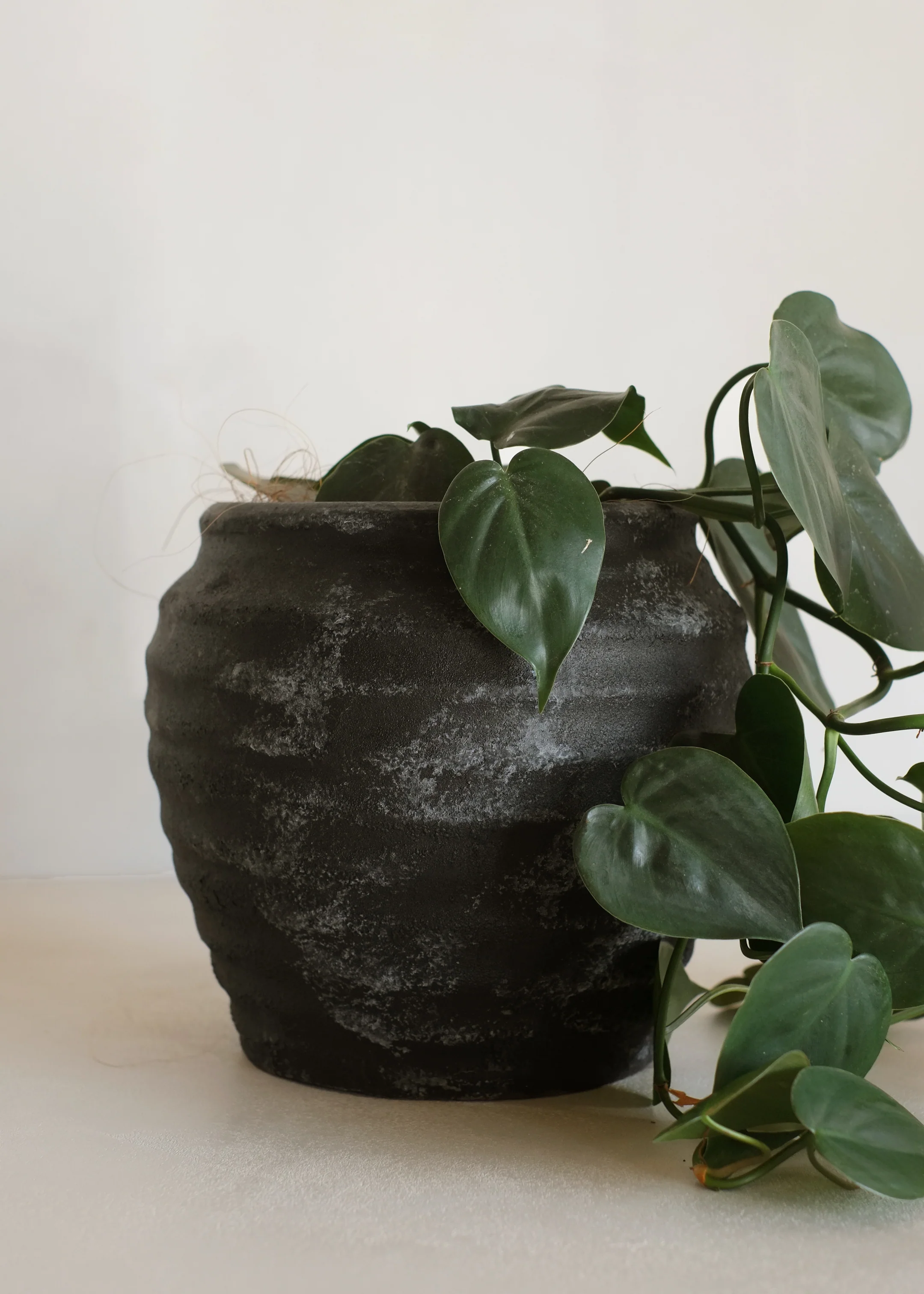 Nemu Antique Vase / Black - Image 5