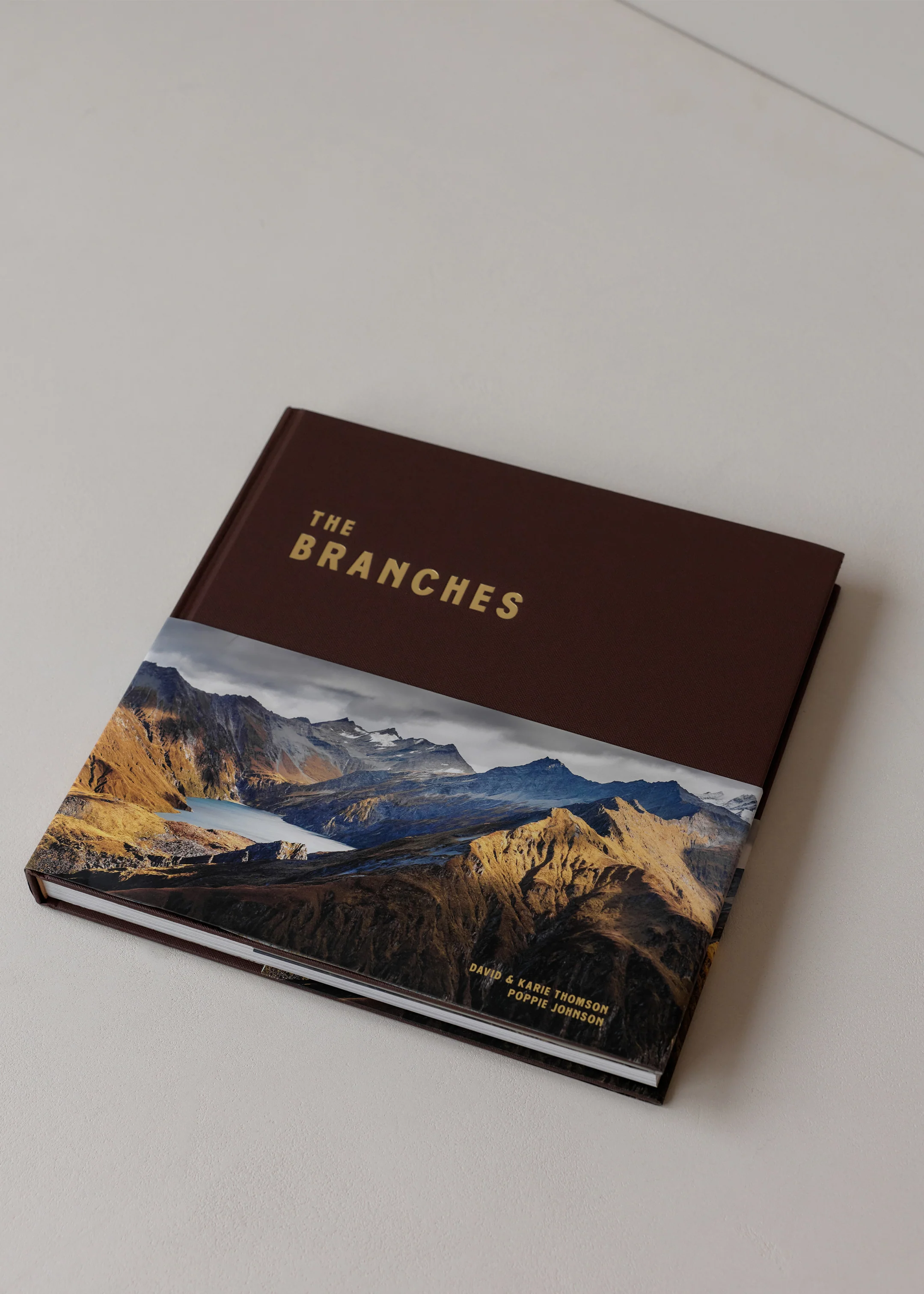 The Branches - Image 4